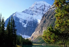 直播平台-梅赛德斯轻取哈斯车队，皮亚斯特里惊艳四座